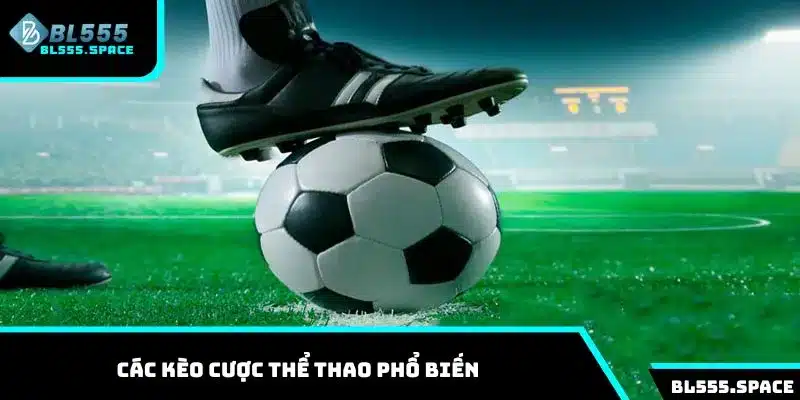 Thể Thao 2 Khám phá đầy đủ 3 kèo cược thể thao phổ biến nhất 2025